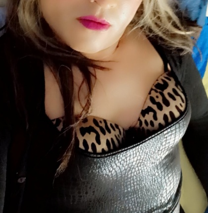 usuario registrado